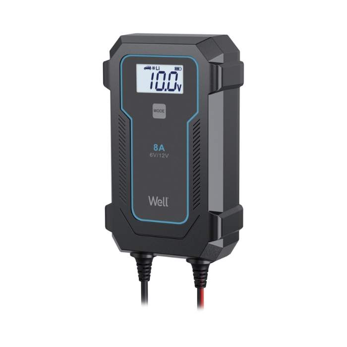 Lead-acid-battery-charger-LiFePO4-Well-6V-4A-12V-8A-with-microprocessor-1