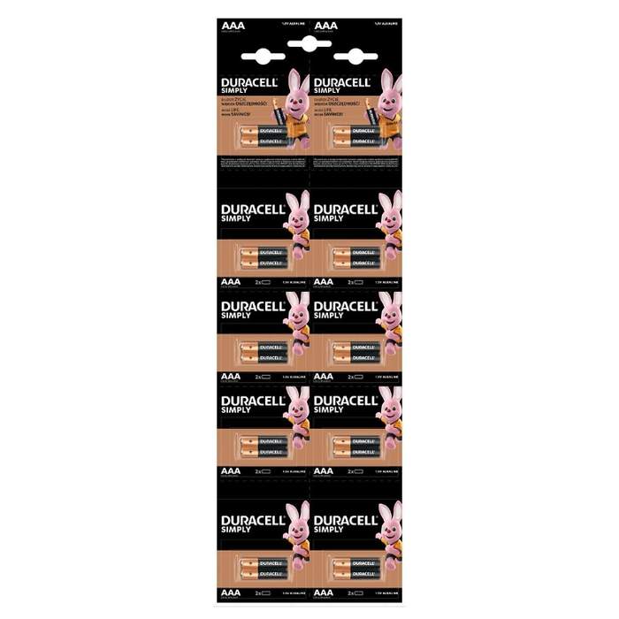 Duracell-Basic-R3-(AAA)-Alkaline-Battery-2x-10-pcs/blister-1
