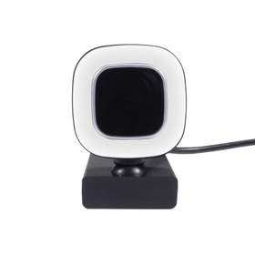 Camera web Well 1080p, cu microfon, H264