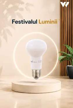 Category Image: - Festivalul Luminii