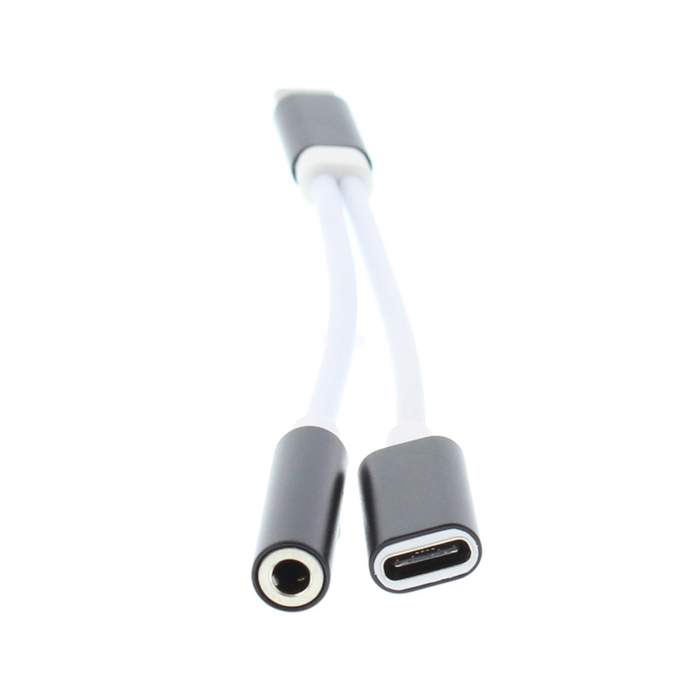 USB-C-male-adapter--3.5mm-female-jack-and-USB-C-female-13cm-Well-1