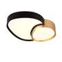 CL-RISE-647510280-TRIO_1_Plafoniera_TRIO_RISE__1x_SMD__21W__2400lm__2700-6500K__telecomanda__negru__auriu__647510280-removebg-preview