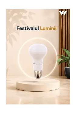 Category Image: - Festivalul Luminii